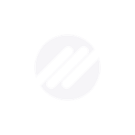 ODIN ENTERPRISE 19 LLC