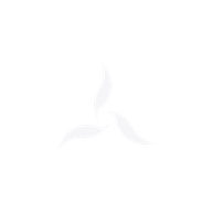 ODIN ENTERPRISE 19 LLC